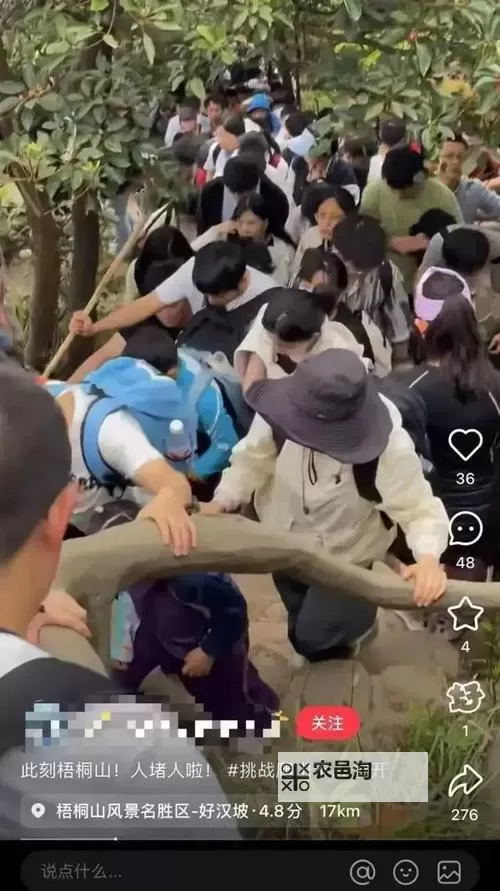 人人草人人玩：畅享自由的狂欢时刻图1