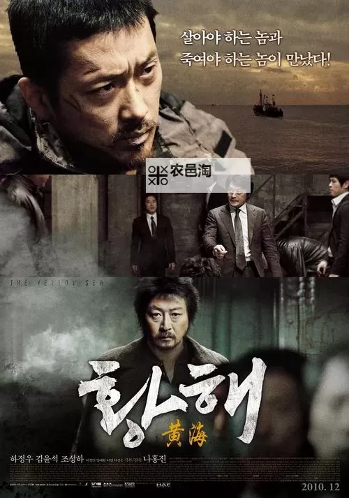 探索中国黄海在线：海洋生态与经济发展的新前沿图1