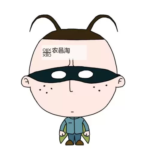 “小明分布看看:探索数据背后的奥秘”图1