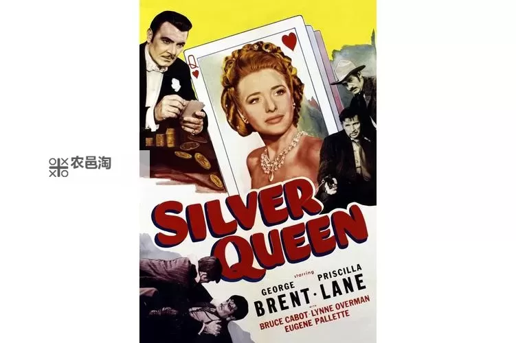 远离赌城百度影音：畅享纯净观影体验图1