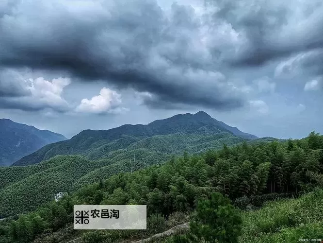 巨星足球电脑版下载 巨星足球模拟器哪个好?图1