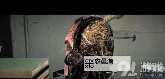 恶灵附身 第九章大脑激光针位置图解图1