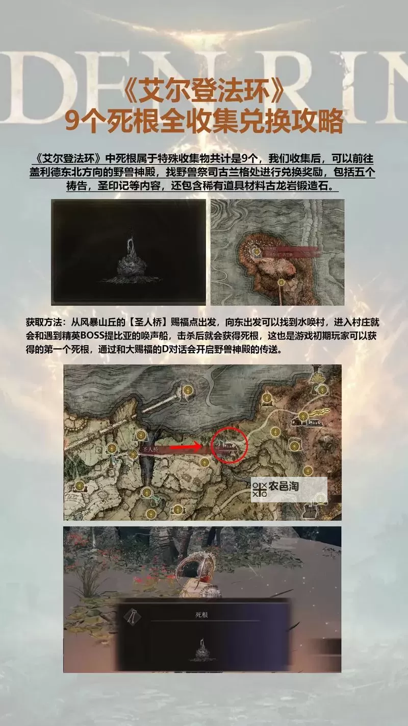 《艾尔登法环》开荒思路及BOSS打法心得图1