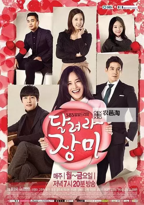 温暖人心的爱情故事:拥抱春天的罗曼史电影赏析图1