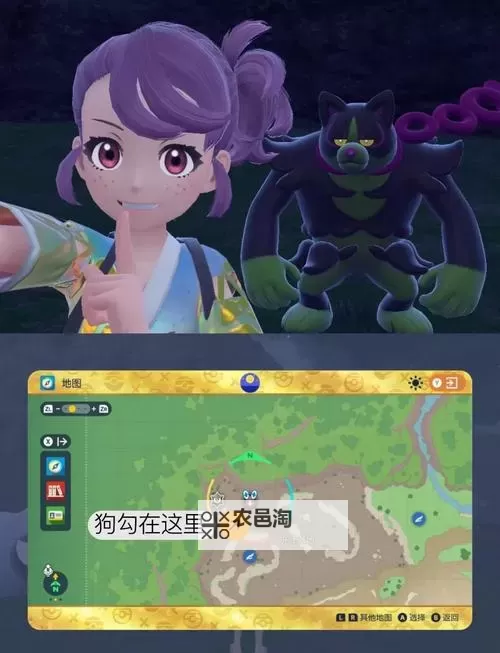 《宝可梦剑盾》新手村宝可梦捕获攻略图1