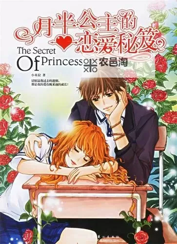 揭晓秘密:掌握幸福的秘诀——月半公主的恋爱秘笈图1
