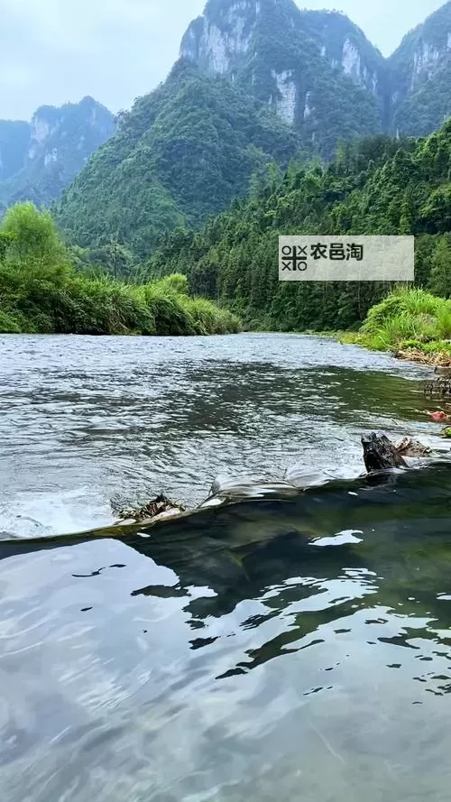 么么哒作战双开挂机软件推荐 怎么双开么么哒作战详细图文教程图2