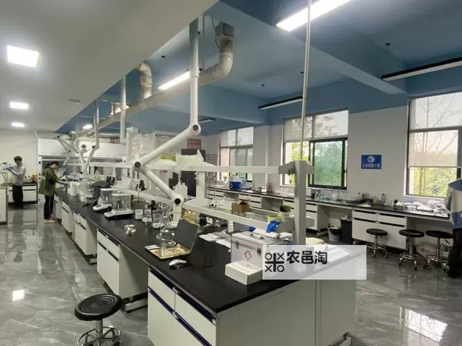 探索未来：水蜜桃实验室研究所实验室的创新突破图1