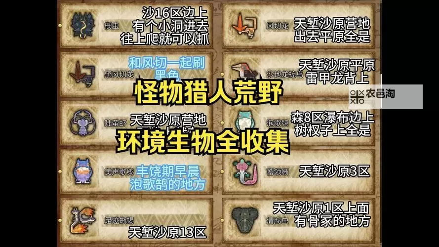 《怪物猎人荒野》稀有环境生物捕捉攻略 沙野流星在哪里抓图1