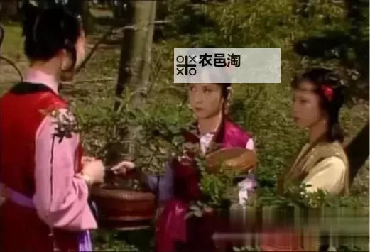 怡红院视频在线播放最新高清资源推荐图1