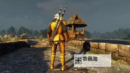 《巫师3》全学派师匠套装外观一览图1