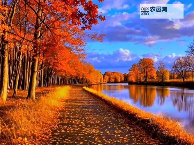 全民霸业挂机软件&双开软件推荐  轻松搞定全民霸业双开和挂机图1