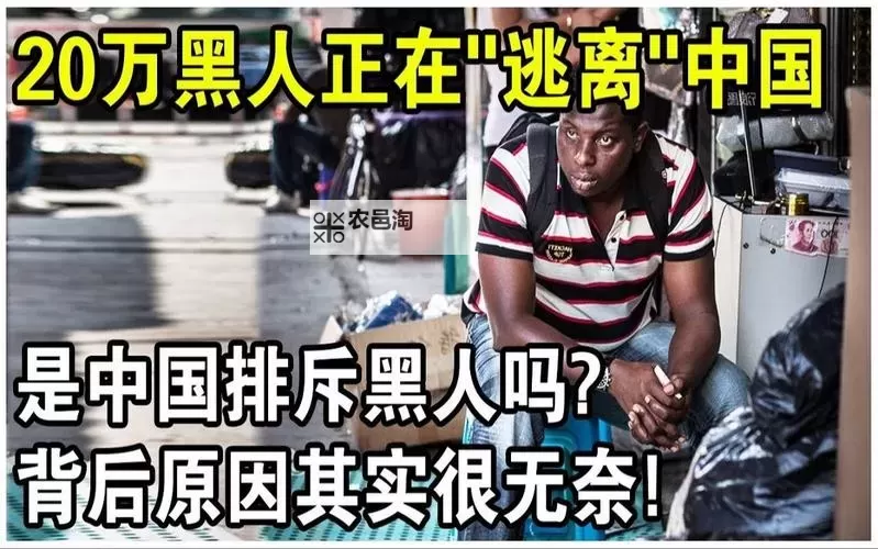 中国会不会黑人化：未来社会变化的热点讨论图1