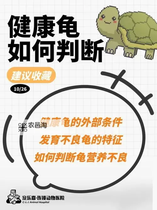 如何有效自己降低龟灵敏度的方法指南图1