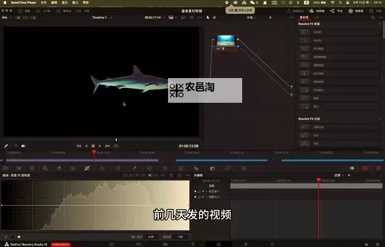 叮咯咙咚呛:弹弹岛双开神器 轻松一键搞定叮咯咙咚呛:弹弹岛挂机双开图1