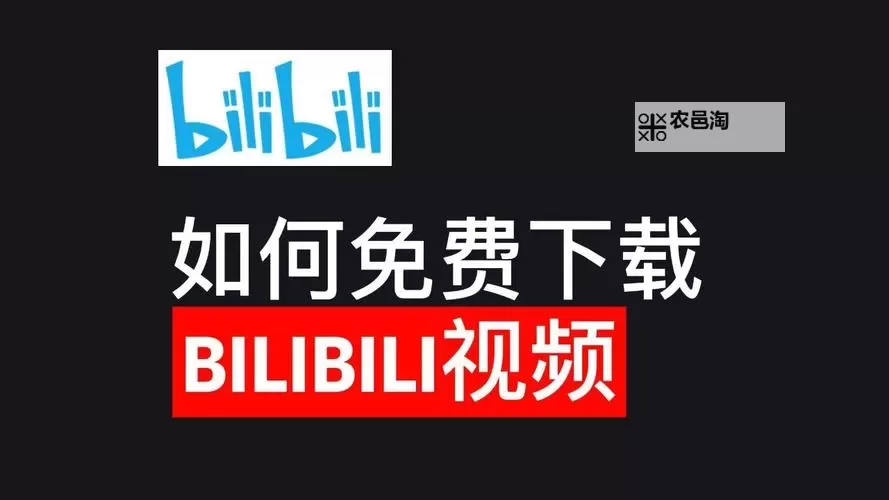 揭秘永久免费不收费的国外B站：无需付费尽享海量资源图1