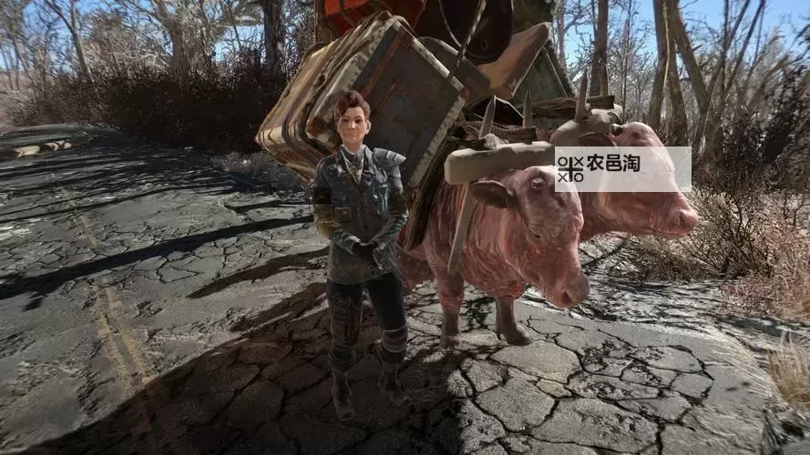 《辐射4》与《上古卷轴5》NPC智商与武器特性外形背部显示设定详解图1