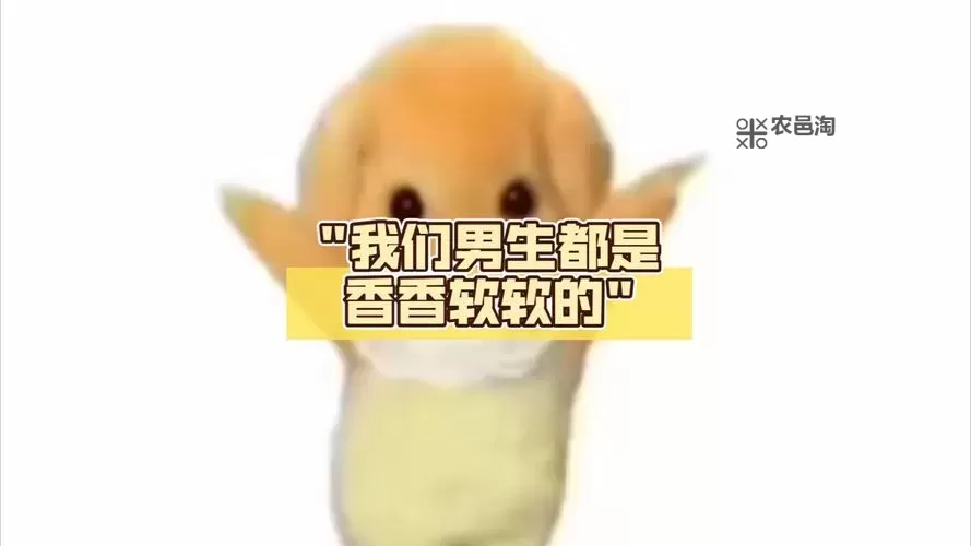 硬邦邦的少年软软的你是什么歌：一段关于青春与情感的动人旋律图1