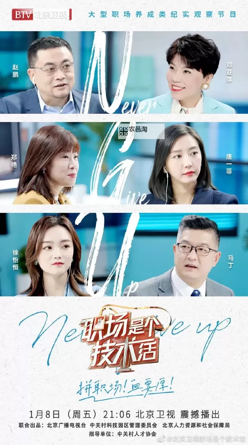 掌握技巧成就未来:职场是个技术活小说分析图1