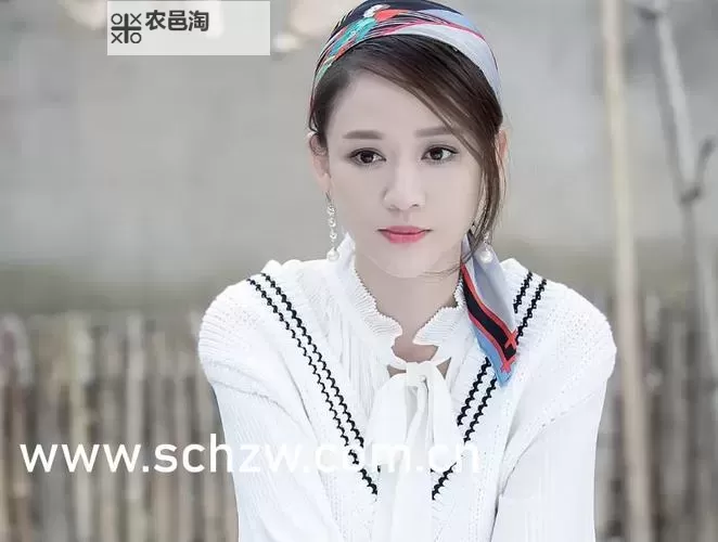 在线天堂おっさんとわたしWWW:趣味共鸣与奇妙友情的温馨故事图1