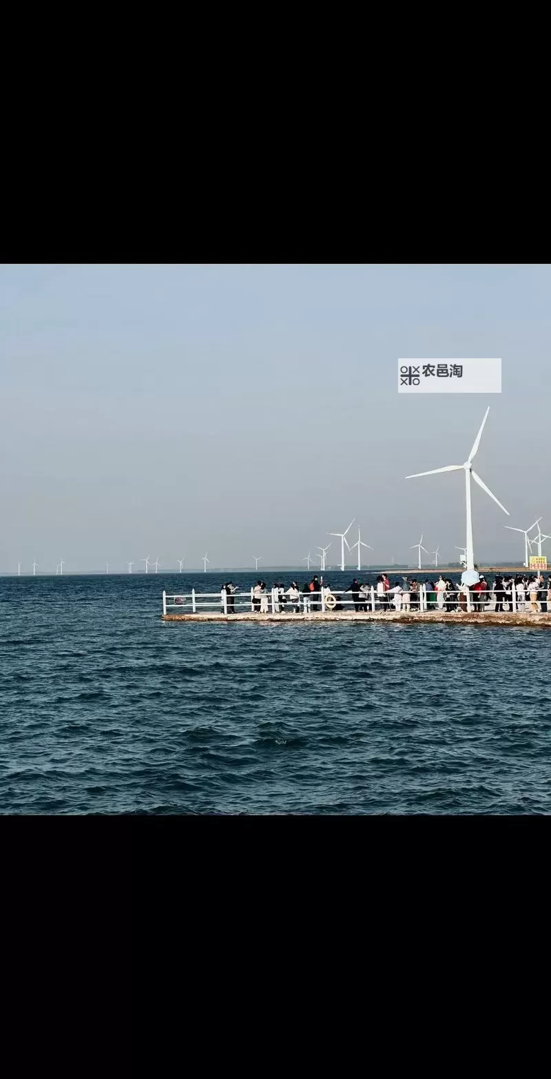 揭秘中文字幕+无码+中文无码：最全免费影视资源指南图1