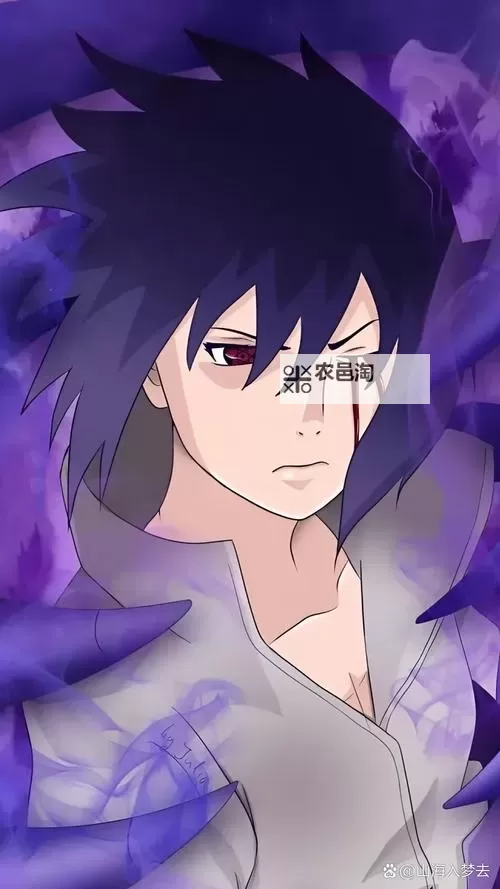 探索荣耀与命运:佐助的无限之旅图1