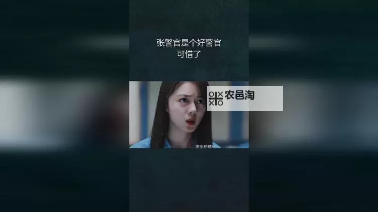 在线观看张警官的视频在线观看:精彩侦查行动全纪录图1