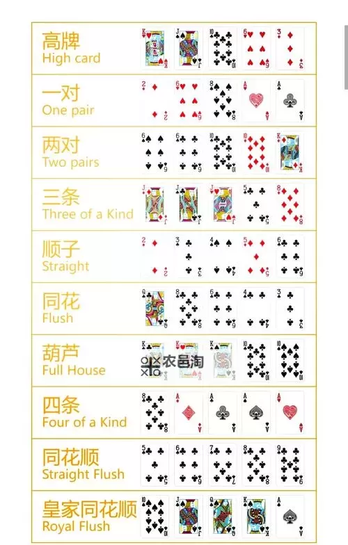 五大扑克游戏排行 有哪些好玩的扑克游戏图1