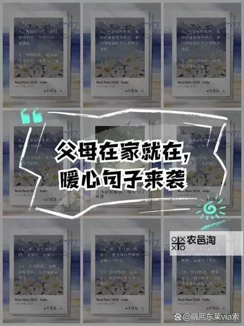 只要爸爸不在家,妈妈就是你:家庭角色的隐藏与转变图1