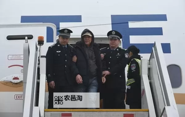 郑泉官被强制遣返事件引发社会广泛关注图1