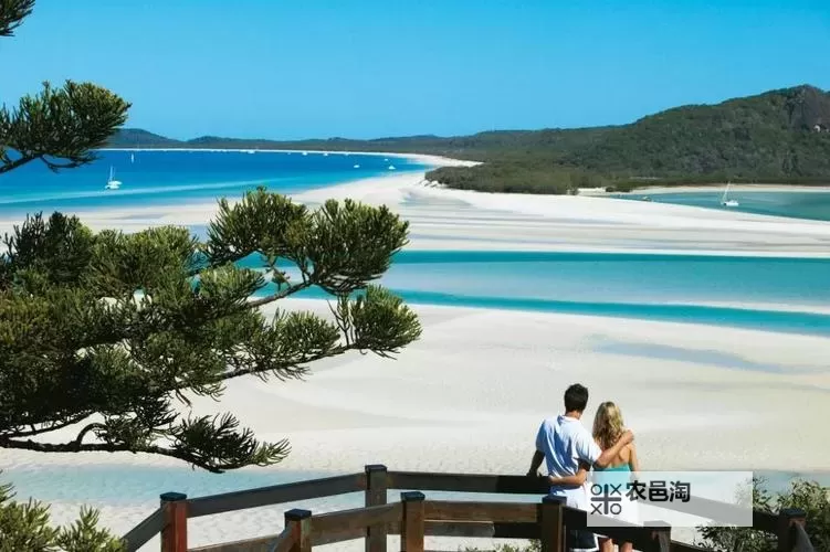 畅享无限乐趣：在线天堂无限次观看精彩不断图1