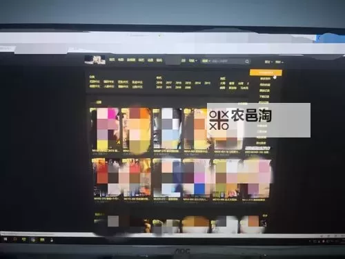 探索海量资源:2024年最新10000免费视频大全推荐图1