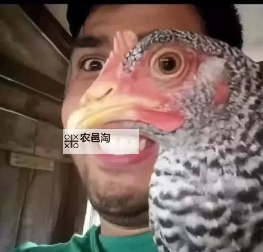 揭秘精彩瞬间:睁开眼看我们怎么玩你的视频图1