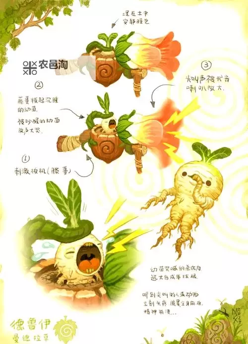 《饥荒》曼德拉草寻找方法与特征图文解析 饥荒曼德拉草在哪图1