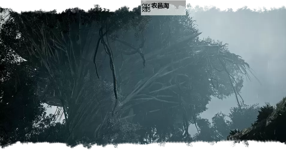 《怪物猎人荒野》绯红森林营地位置及推荐 森林营地搭建位置推荐图1