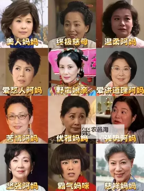 中国老妈v dosgroup:温情与实力的完美结合图1