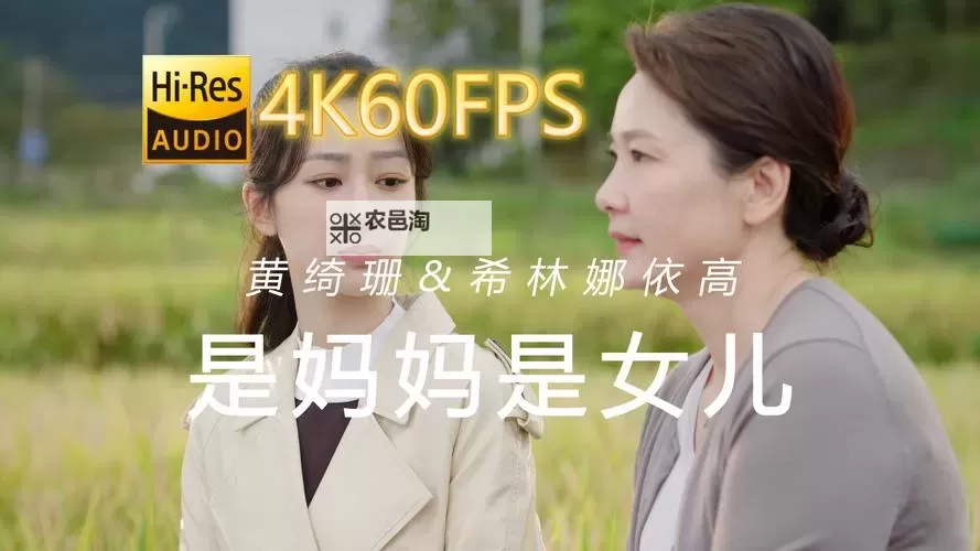 2024年最值得一看的影视作品:最好看的中文字幕国语推荐图1