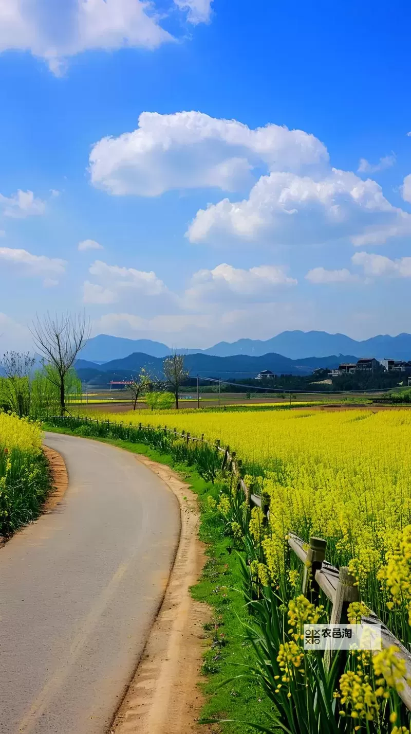 《原神》5.4原石数量统计 5.4版本能获得多少原石图1