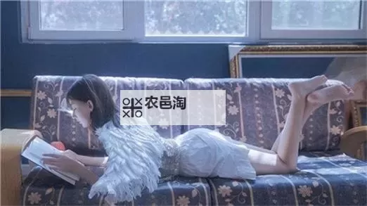 九幺免费无限观看:畅享精彩影视盛宴无需付费图1