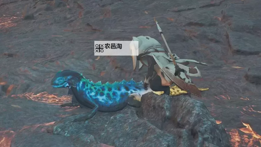 《怪物猎人荒野》火焰伞蜥在哪抓 火焰伞蜥捕获位置分享图1