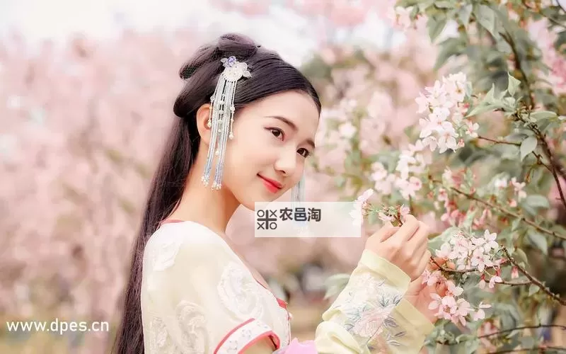 天美传媒mv免费欣赏指南:畅享高清影视盛宴图1