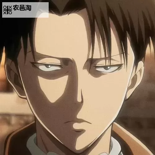 进击的兵长挂机软件&双开软件推荐  轻松搞定进击的兵长双开和挂机图1