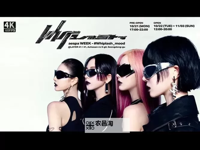 最新最全高清中文字幕MV免费欣赏,尽享最新热门歌曲体验图1