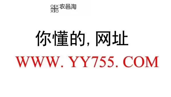 探索黄X网X:互联网新风尚的崭新时代图1