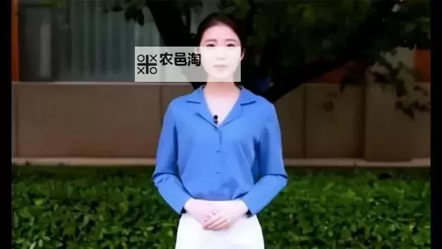 张津瑜6分视频：精彩瞬间集锦展现球场魅力图1