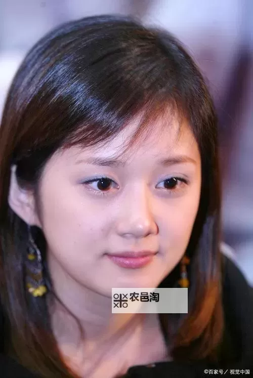 揭秘:张娜拉整容传闻真相大揭秘图1