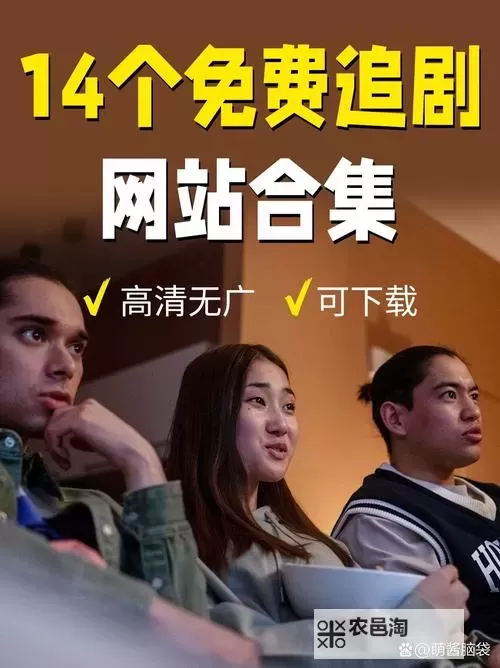 2021年最新版在线观看视频网站源码免费下载与详细解析图1