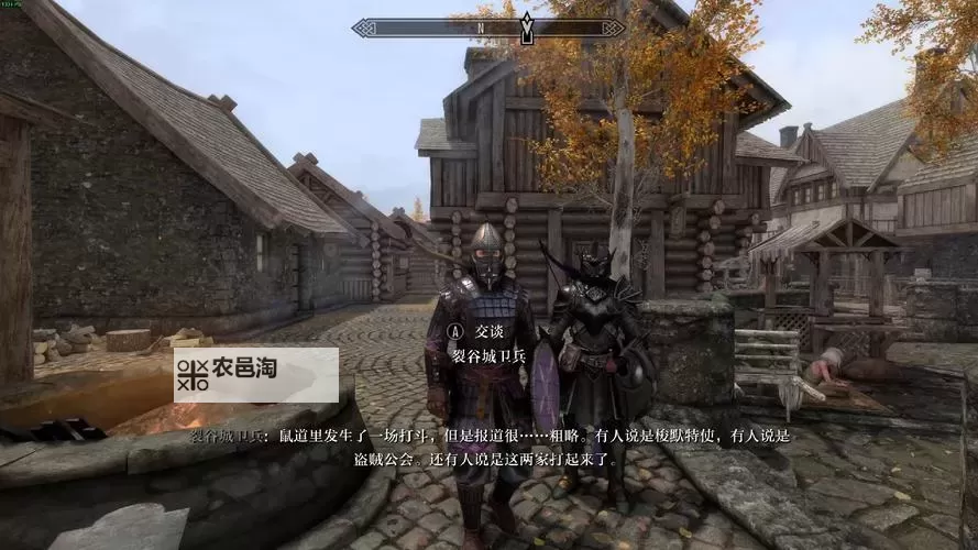 《上古卷轴5》全城镇风土人情及LOGO介绍图1