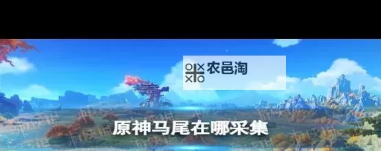 《原神》马尾作用介绍与采集路线分享图1
