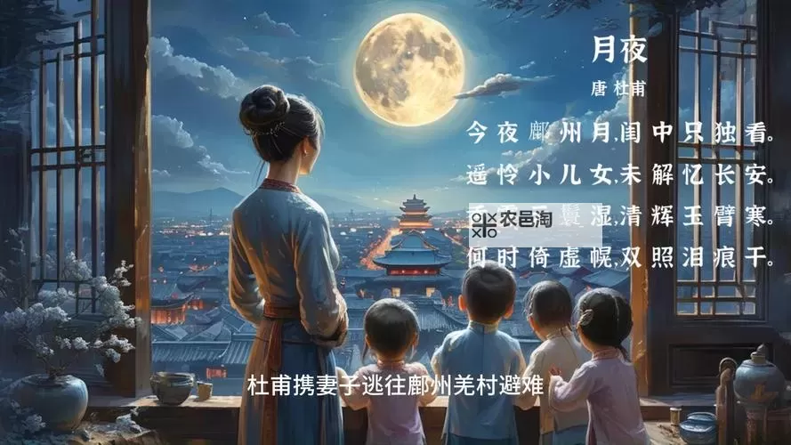 免费在线观看：《月夜影视视频在线观看》带你畅享精彩视界图1